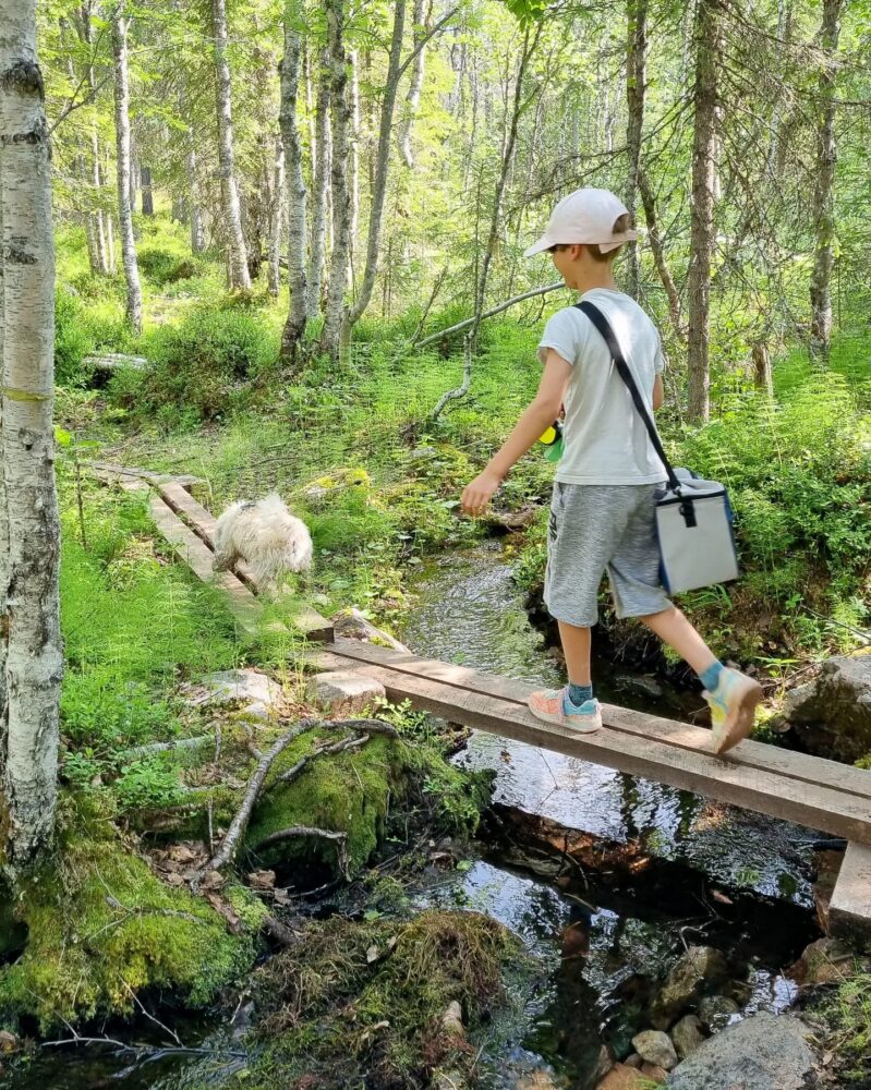 UGC sisältöä, perhe